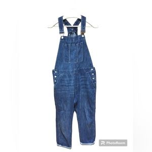 Gap Classic Overall